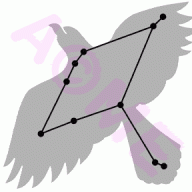 aquila